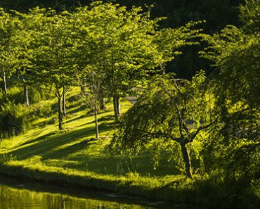 virginia