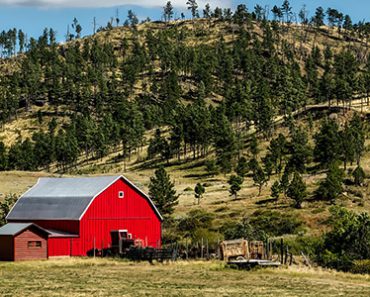 wyoming